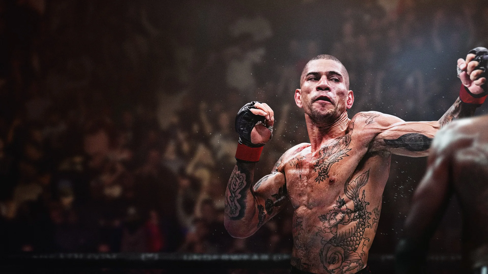 EA SPORTS UFC 6 combattimento nell’Ottagono