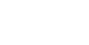 Hollow Knight: Silksong logo Nintendo Switch 2